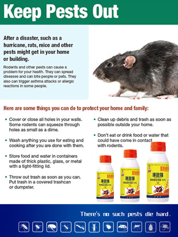 How Does Rat Poison Work? What You Need To Know — Dalton Engineering