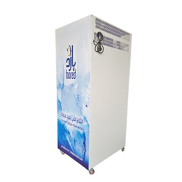 Auto-Defrost Bagged Ice Storage Bin Freezer Ice Merchandiser - China  Merchandiser and Cold Storage Bin price