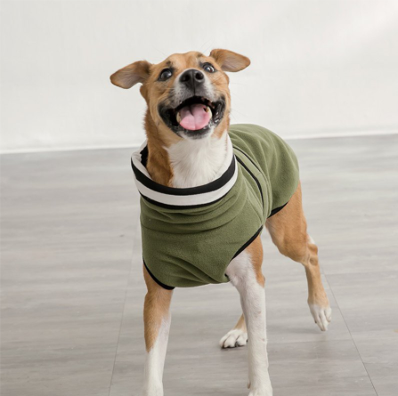 Buy Wholesale China Modern Dog Coat Winter Warm Turtle Neck Designer Cat  Clothes Fleece Dog Coat & Fleece Dog Coat at USD 3.9