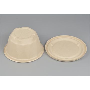 Buy Wholesale China Disposable Biodegradable Bagasse Food Container Salad  Box & Biodegradable Containers at USD 0.45