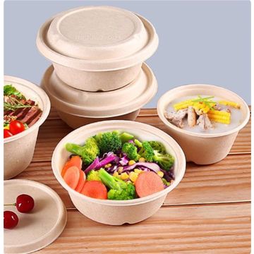 Buy Wholesale China Disposable Biodegradable Bagasse Food Container Salad  Box & Biodegradable Containers at USD 0.45