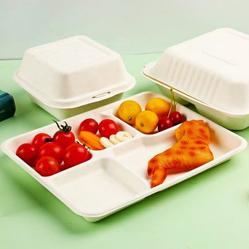 Buy Wholesale China Eco Food Containers 5 Compartment Plastic Foam Disposable  Plates Lunch Tray & Lunch Box at USD 0.0013