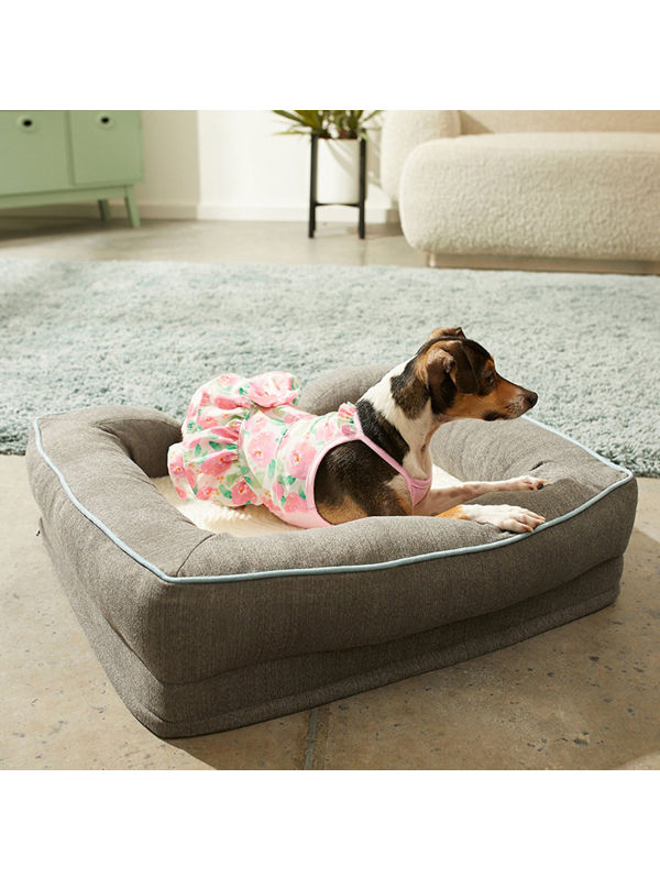 Creme Fraiche Dog Dress: The Classy Dog - Designer Dog Clothes, Luxury Dog  Beds