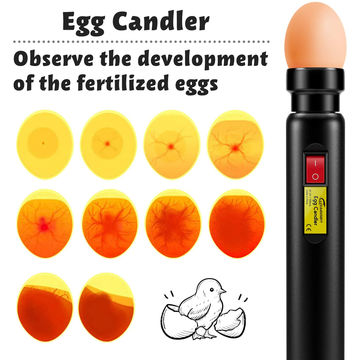 1Pc Egg Candler Tester Incubator Eggtester Egg Candling Lamp LED