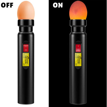 Buy Wholesale China Egg Lighter Match With Egg Incubator Egg