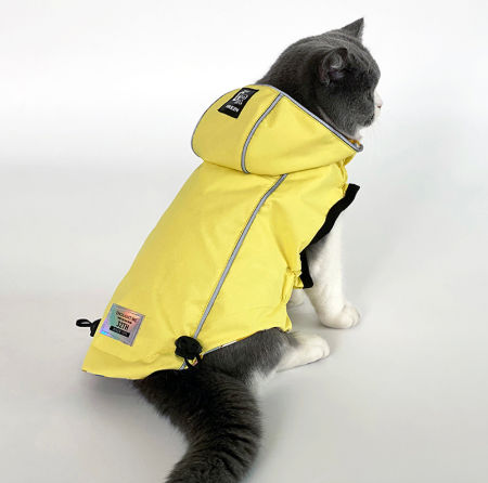 discount dog clothes