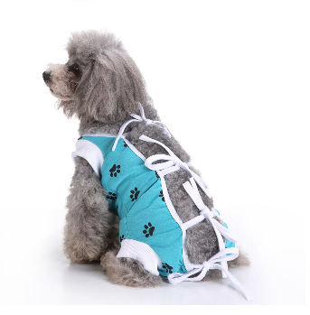 Buy Wholesale China Cat Clothes Pet Surgery Recovery Suit Female Cat  Weaning Anti-licking Shirt Pet Surgery Recovery & Pet Clothes at USD 3.5