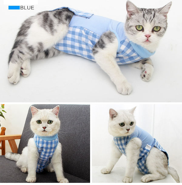 Buy Wholesale China Cat Clothes Pet Surgery Recovery Suit Female Cat  Weaning Anti-licking Shirt Pet Surgery Recovery & Pet Clothes at USD 3.5