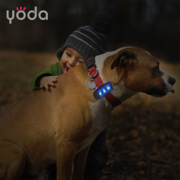 LED Safety Light Modes Clip On Running Collar Lights for Runner Kids Joggers Biking Walk Dog Bike