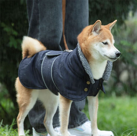 dog raincoat harness