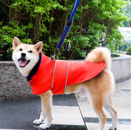 dog raincoat harness