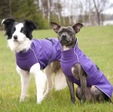 Dog Raincoat Coat Pet Rain Jacket, Should Dogs Wear Coats In The Rain