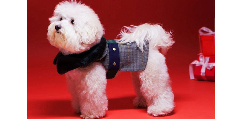 private label dog clothes
