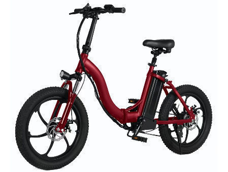 20 inch women's bike