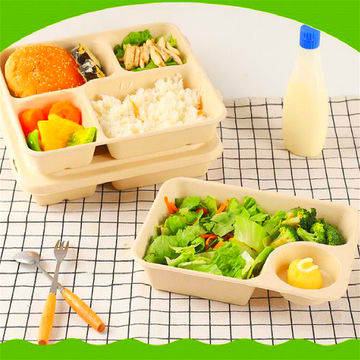 Biodegradable ecológica desechables para llevar alimentos de preparación  para la Comida de plástico con tapas de contenedores - China Box Lunch y  Fiambrera de plástico desechables de plástico precio