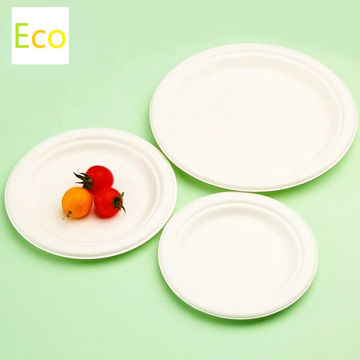 Buy Wholesale China Eco Food Containers 5 Compartment Plastic Foam Disposable  Plates Lunch Tray & Lunch Box at USD 0.0013