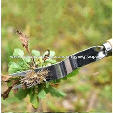 Hook Tool for Vinyl Weeding at Wholesale Prices