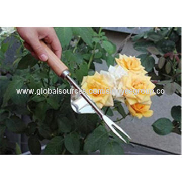 Buy Wholesale China Stainless Steel Is Weeding Loose Soil Weeding Fork  Gardening Tools Gardening Fork Nursery Dedicated & Stainless Steel Puller  Garden Tool at USD 0.05