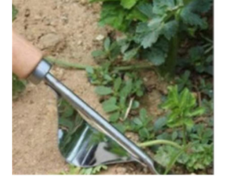 Buy Wholesale China Stainless Steel Is Weeding Loose Soil Weeding Fork  Gardening Tools Gardening Fork Nursery Dedicated & Stainless Steel Puller  Garden Tool at USD 0.05