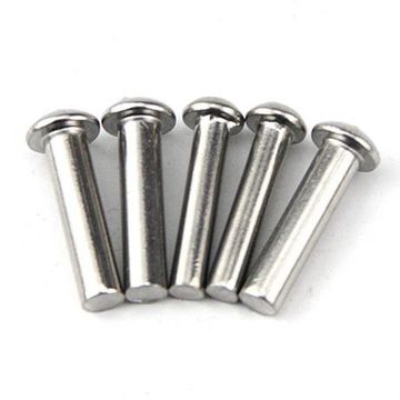 10cm Rivet China 304 Stainless Steel Round Head Rivet M10 Plain Finish Solid ...