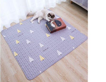 padded dog blanket