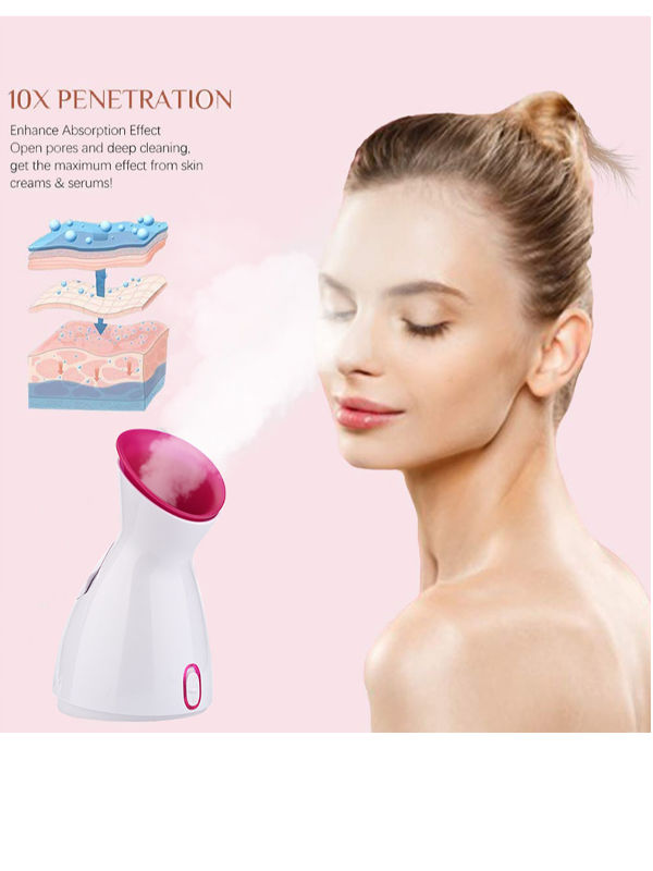 China Newest face steamer facial beauty device for home use high