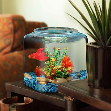 Mini aquarium en plastique transparent incassable, petit poisson