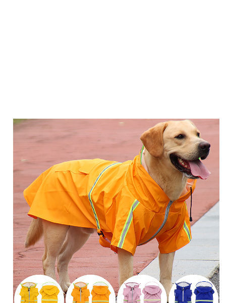 designer dog raincoat