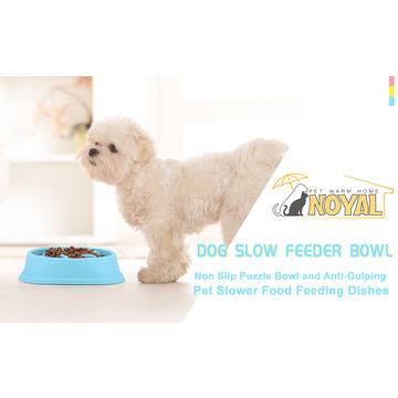 https://p.globalsources.com/IMAGES/PDT/B5164878858/Dog-Slow-Bowl.jpg