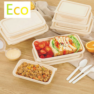 https://p.globalsources.com/IMAGES/PDT/B5165851510/PLA-biodegradable-disposable-food-container.jpg