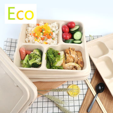 https://p.globalsources.com/IMAGES/PDT/B5165851519/PLA-biodegradable-disposable-food-container.jpg