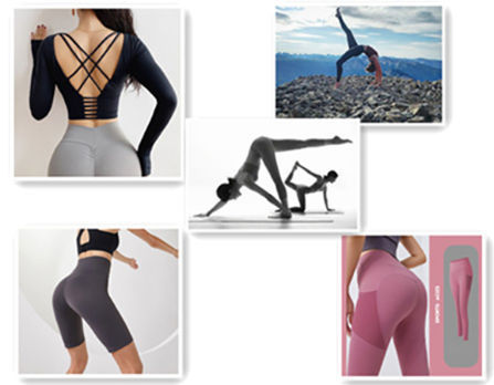 Wholesale Seamless Sport Suit Women Fitness Clothing Sport Wear