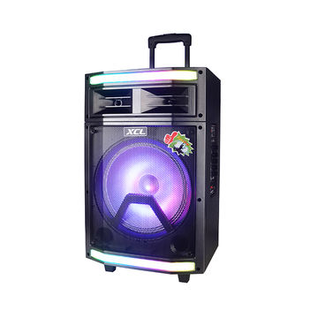 China Hot sale 40W 12 inch DJ Trolley Bluetooth Speaker Stage Party ...