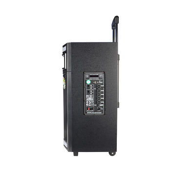 China Hot sale 40W 12 inch DJ Trolley Bluetooth Speaker Stage Party ...