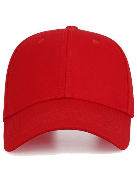 Blank store trump hat