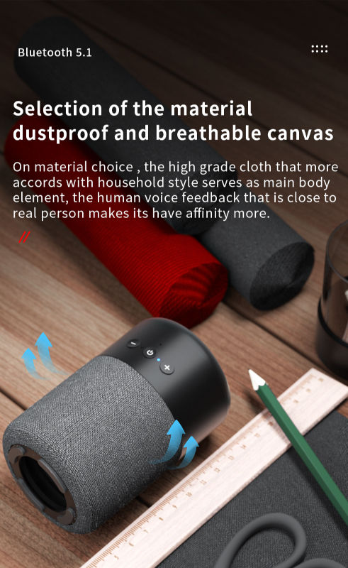 Speaker and earphone 2 in 1 B20 TWS earbuds with bluetooth speakers for outdoor and home supplier
