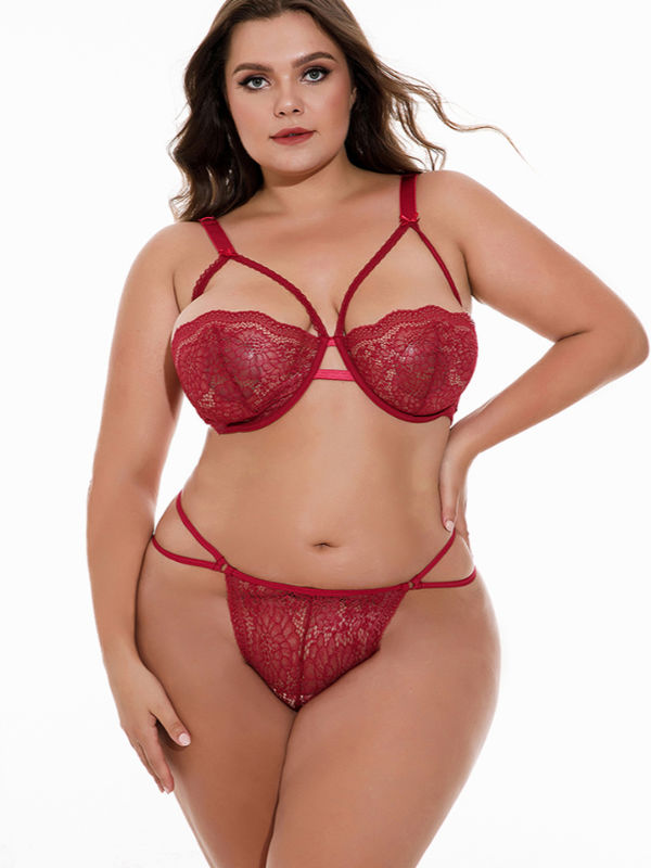 Oem Underwire Sexy Seductive Sheer Mesh Lace Super Large Size Sexy Lingerie  Bra And Brief Set, Plus Size Lingerie For Women, Women's Lingerie, Bra And  Brief Sets - Buy China Wholesale Plus