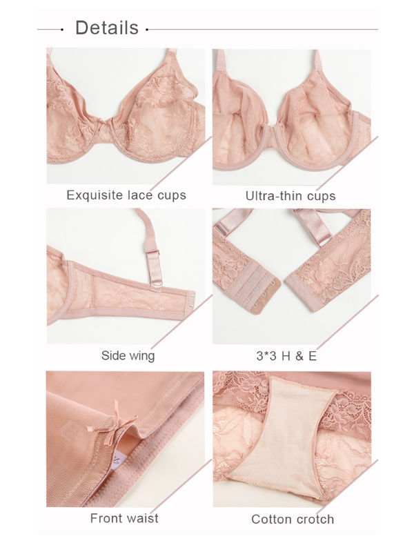 2021 New Arrival Transparent Lace Sexy Bras Women Panty Lingerie