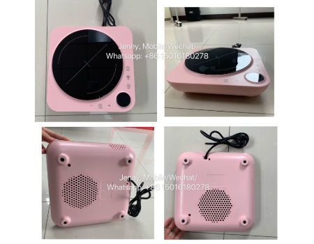 Mini size Induction Cooker, fashion design kitchen appliance, cooking appliances 2000W with CB CE supplier