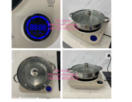 Mini size Induction Cooker, fashion design kitchen appliance, cooking appliances 2000W with CB CE supplier