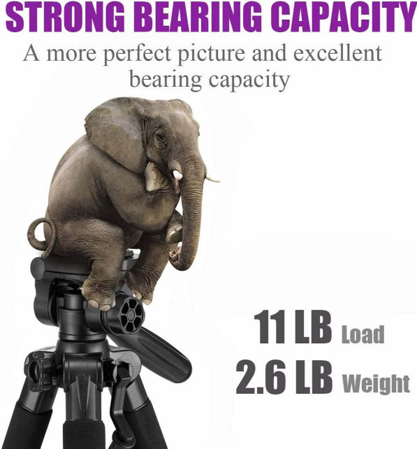 Colorful Mactrem PT55 Lightweight Flexible Travel Tripod Camera mounts clamps with Carry Bag