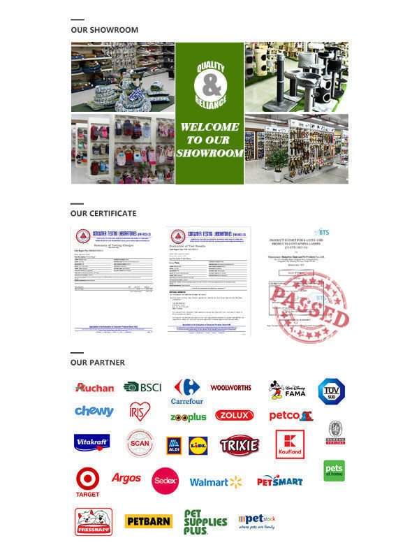 cat collar woolworths