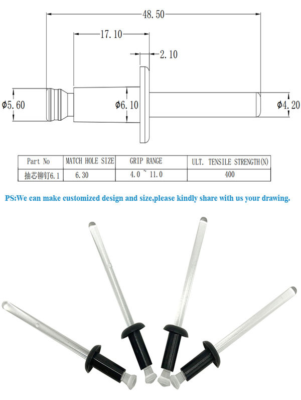 China High quality multispecification plastic blind rivet dongguan