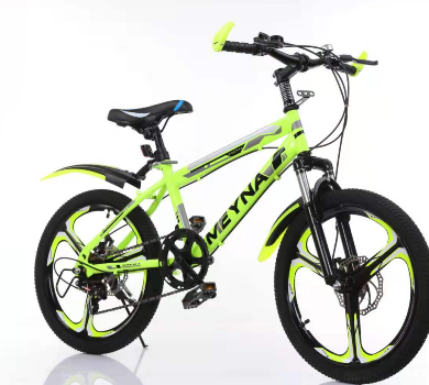 Vélo Enfant 20 Pouces 6 Vitesses VTT/city - Vert, Freins à Disque - Neuf Pour Garçon/fille