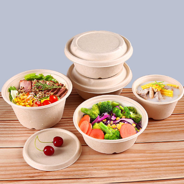 China Disposable Biodegradable Fast Food Pulp Container Paper Lunch ...