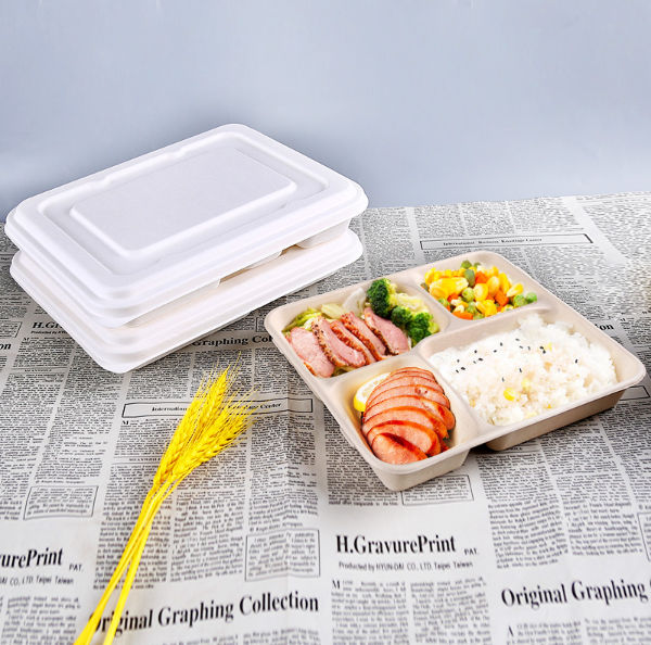 China Disposable Biodegradable Fast Food Pulp Container Paper Lunch ...