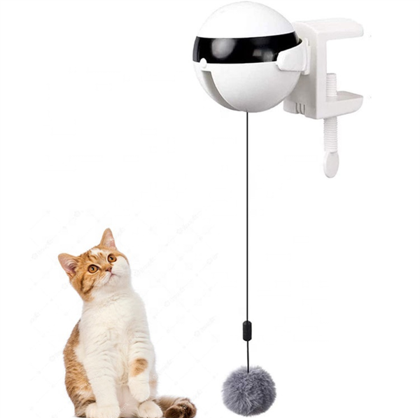 https://p.globalsources.com/IMAGES/PDT/B5168563801/Cat-Toys.png