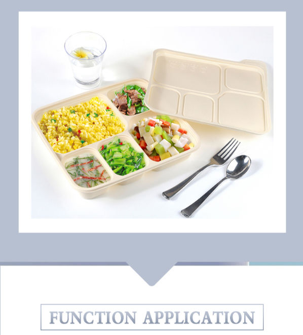 China Eco-friendly Biodegradable Takeaway Food Boxes Microwavable ...