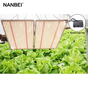 China LED Grow Light for Indoor Plants 1000W for Sale LED Grow Light on ...
