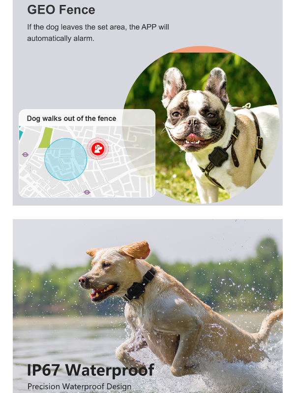 China 4G pets gps tracker IP67 waterproof GPS WIFI LBS real-time ...